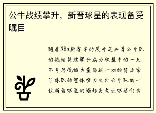 公牛战绩攀升，新晋球星的表现备受瞩目