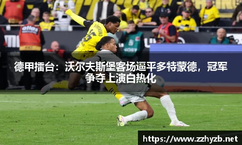 BB贝博艾佛森