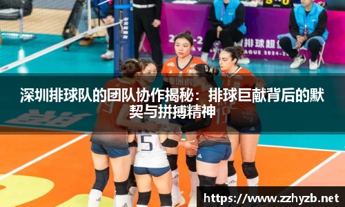 BB贝博ballbet