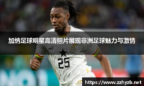 BB贝博登录入口