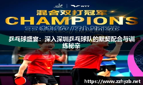 乒乓球盛宴：深入深圳乒乓球队的默契配合与训练秘辛