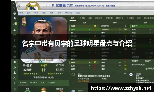 BB贝博登录入口